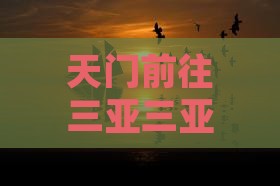 天门前往三亚三亚湾自由行