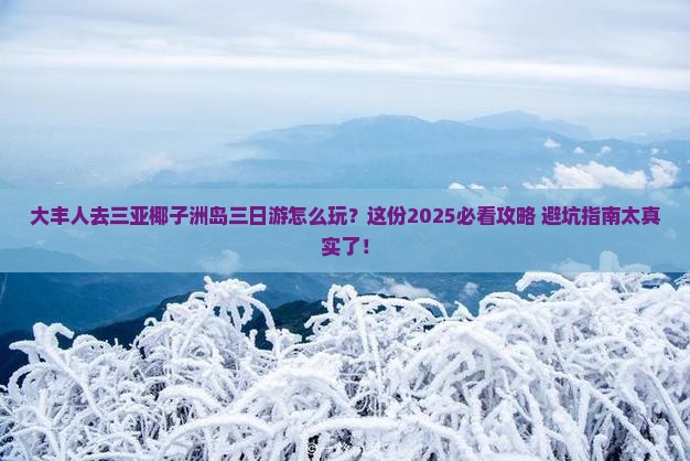 大丰去三亚椰子洲岛三日游