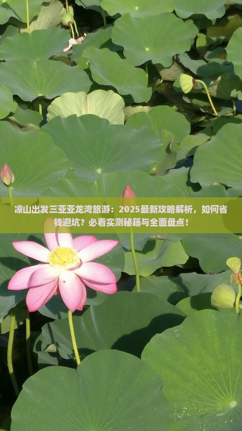 凉山出发三亚亚龙湾旅游