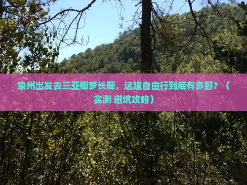 泉州去三亚椰梦长廊自由行