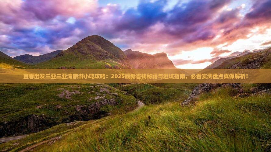 宜春出发三亚三亚湾旅游小吃