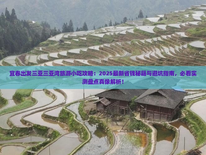 宜春出发三亚三亚湾旅游小吃