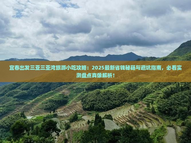 宜春出发三亚三亚湾旅游小吃