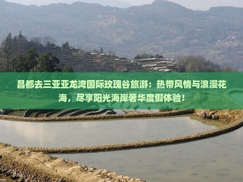 昌都去三亚亚龙湾国际玫瑰谷旅游
