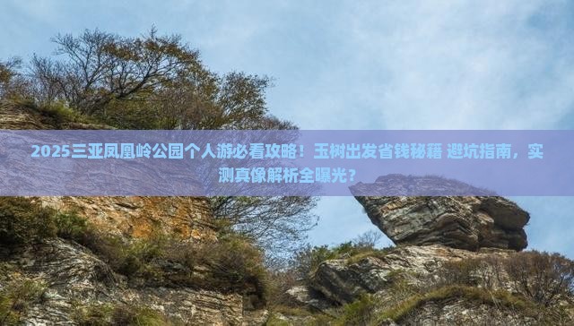 玉树出发三亚凤凰岭公园个人游