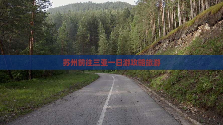 苏州前往三亚三亚湾一日游