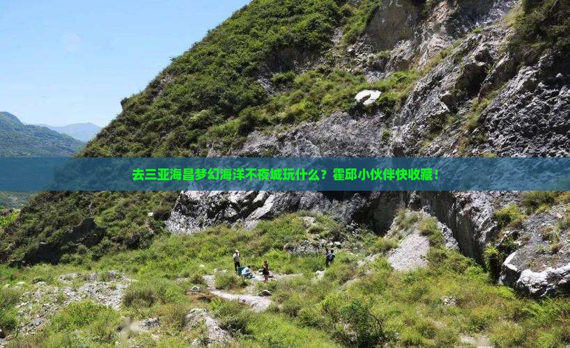 霍邱前往三亚海昌梦幻海洋不夜城必玩地