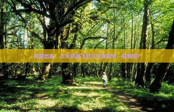 鹤壁前往三亚海棠湾三日游