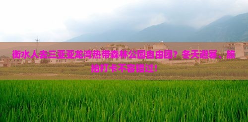 衡水前往三亚亚龙湾热带森林公园自由团