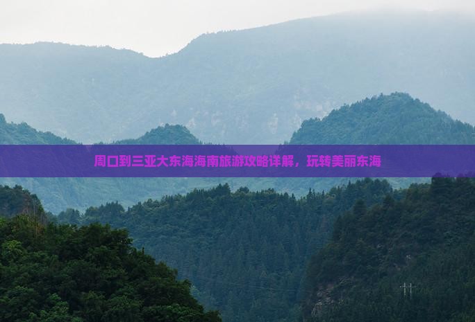 周口出发三亚大东海自由团