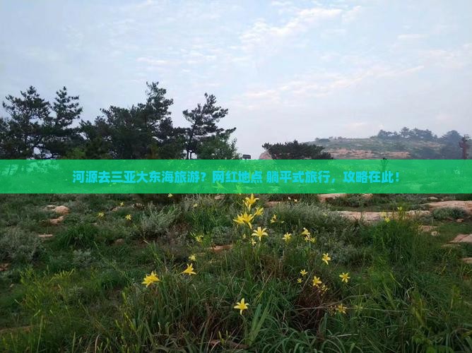 河源去三亚大东海旅游网红地点