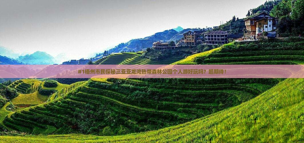 梧州出发三亚亚龙湾热带森林公园个人游