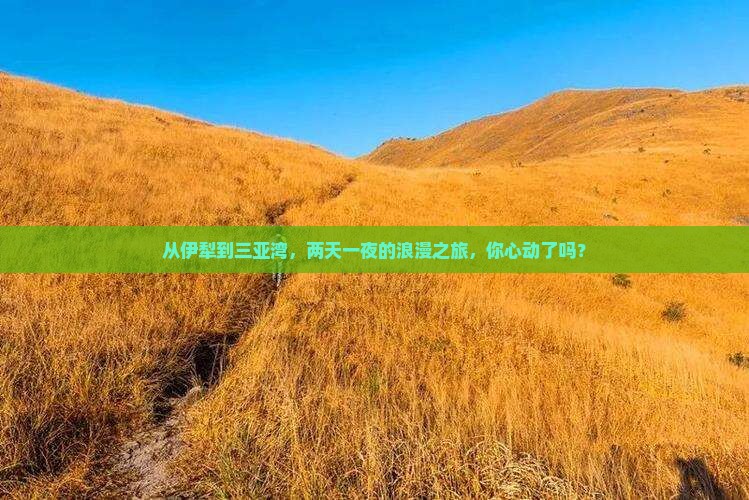 伊犁前往三亚三亚湾二日游