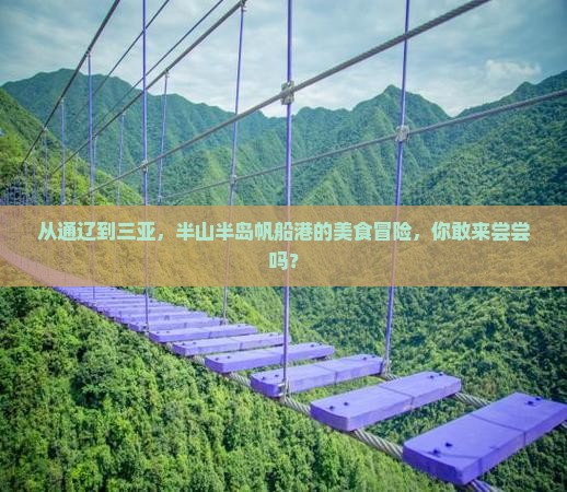 通辽市出发三亚半山半岛帆船港旅游小吃