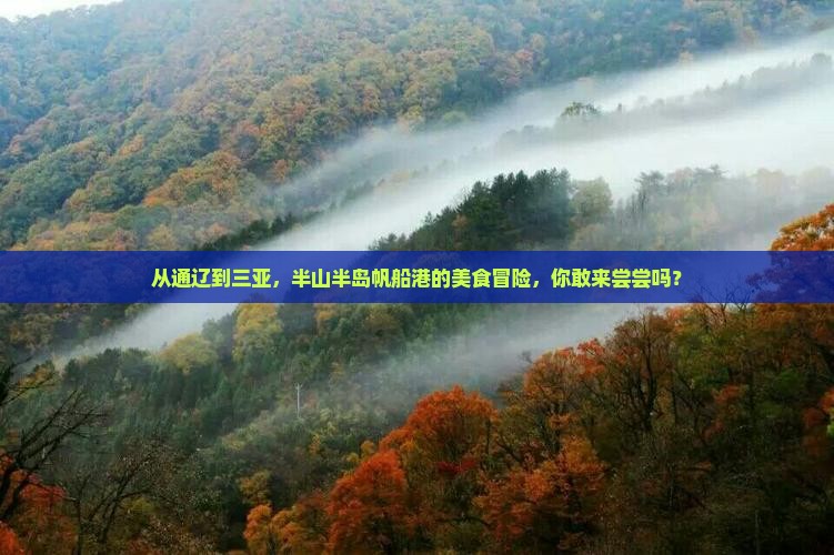 通辽市出发三亚半山半岛帆船港旅游小吃