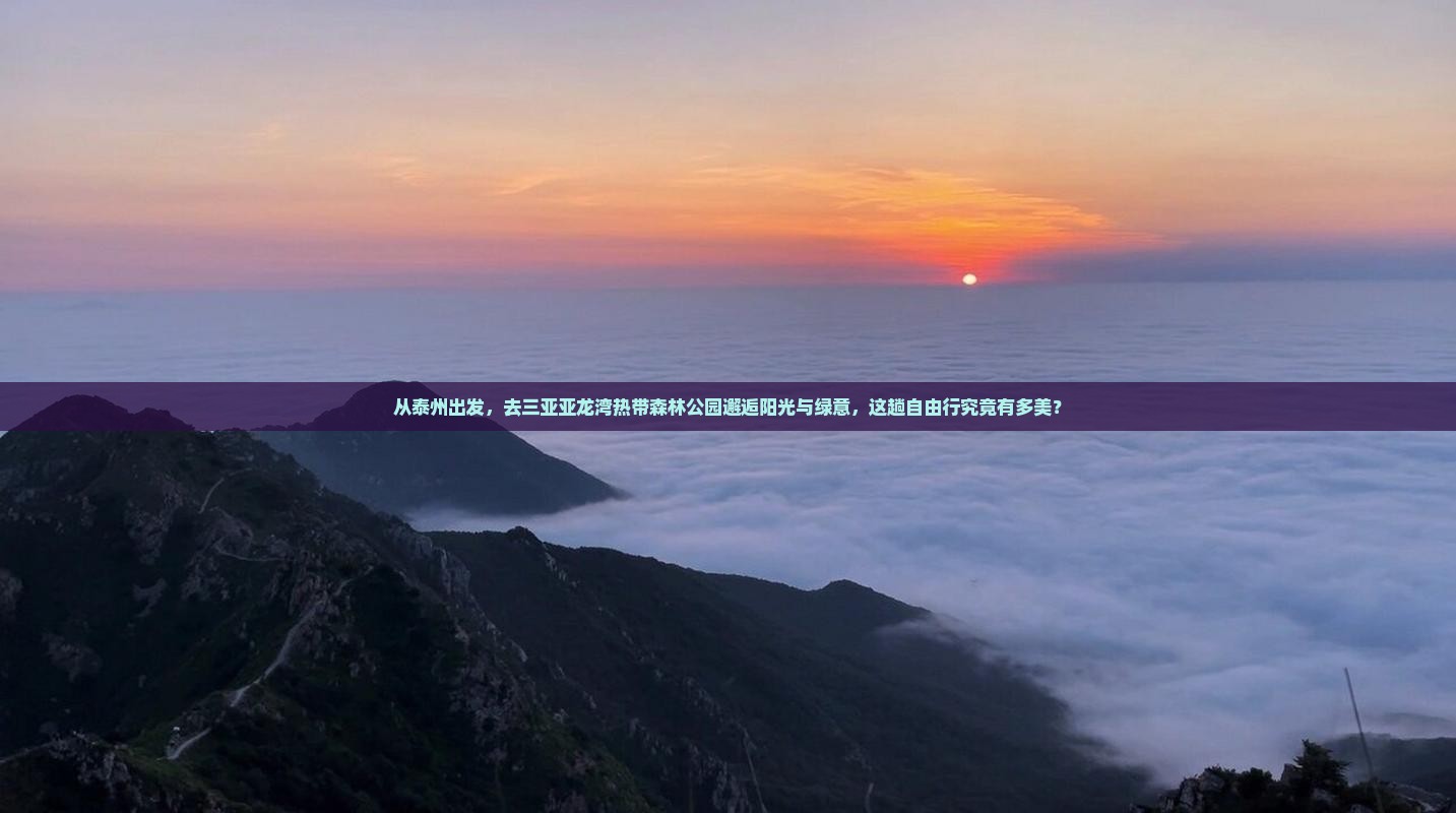 泰州去三亚亚龙湾热带森林公园自由团