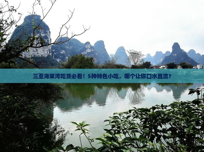 来宾出发三亚海棠湾旅游小吃