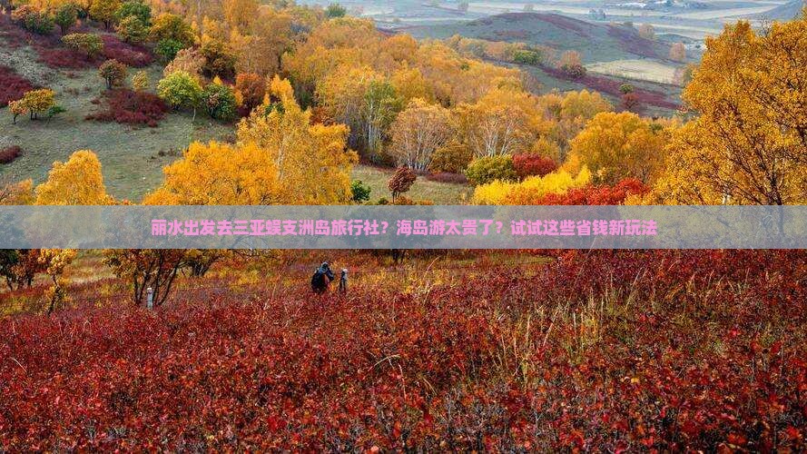 丽水出发三亚蜈支洲岛旅行社