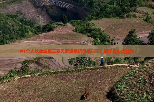 盐城出发三亚天涯海角个人游