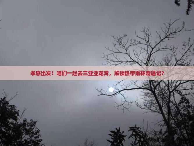孝感前往三亚亚龙湾热带森林公园大型旅游团