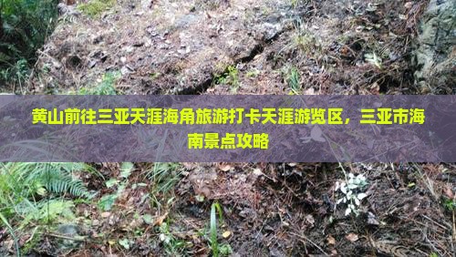 黄山前往三亚天涯海角旅游打卡点