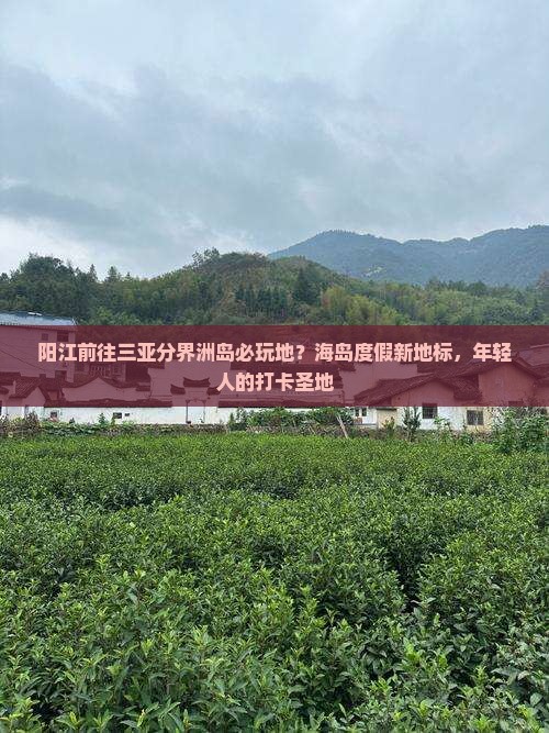 阳江前往三亚分界洲岛必玩地