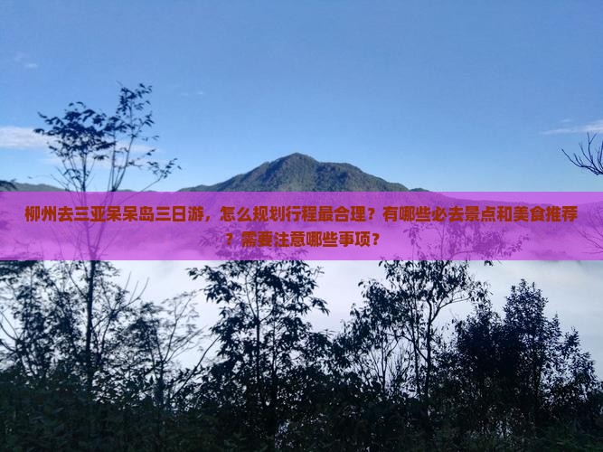 柳州去三亚呆呆岛三日游