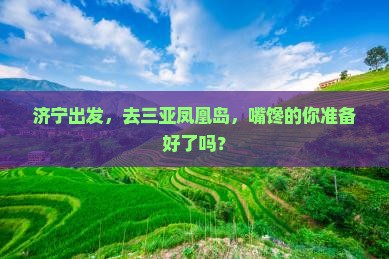 济宁去三亚凤凰岛旅游小吃