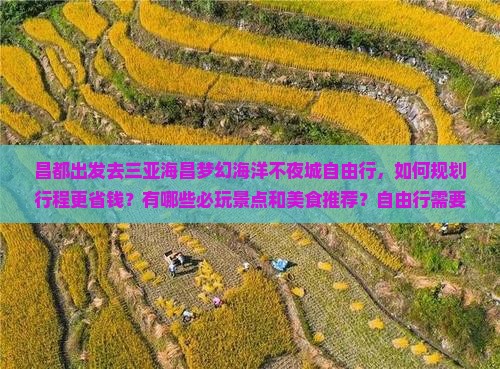 昌都去三亚海昌梦幻海洋不夜城自由行