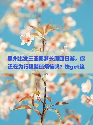 惠州出发三亚椰梦长廊四日游