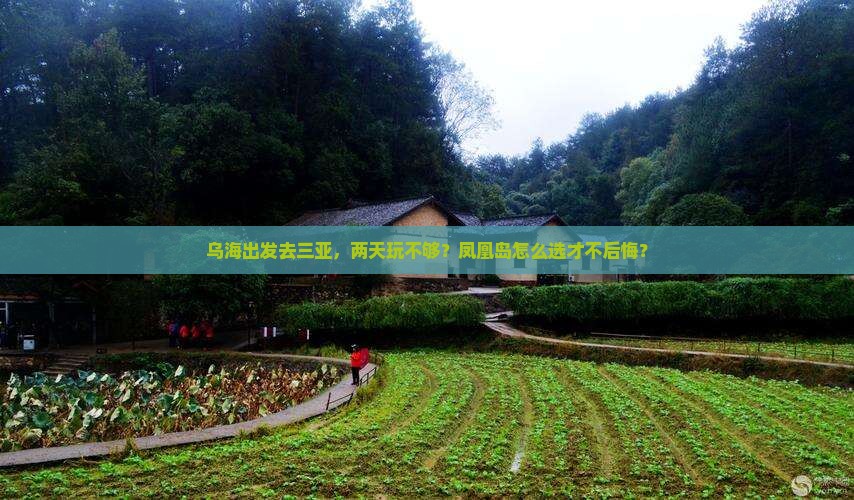 乌海出发三亚凤凰岛二日游