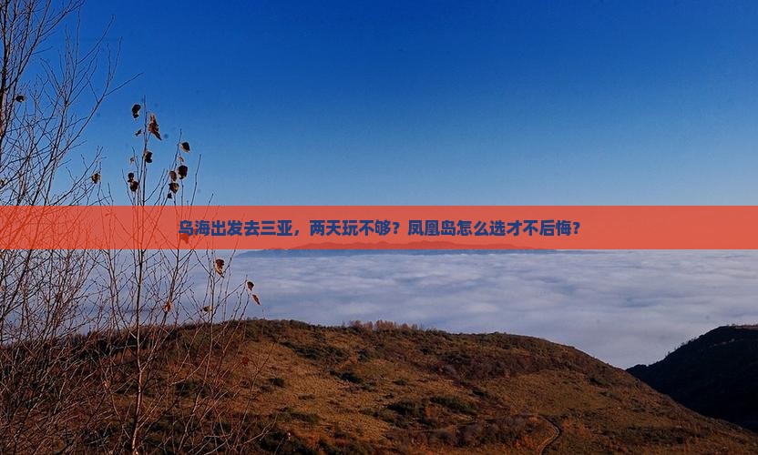 乌海出发三亚凤凰岛二日游