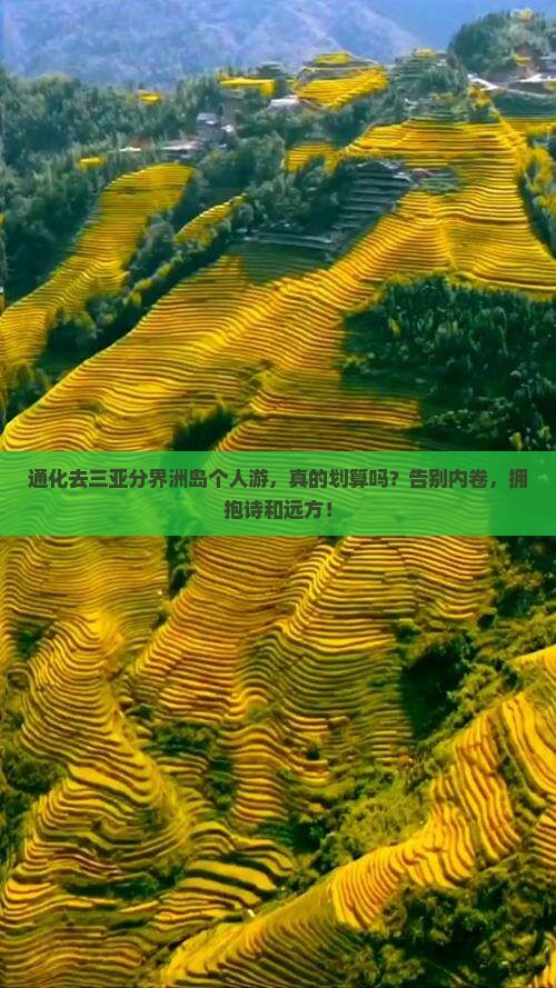 通化去三亚分界洲岛个人游