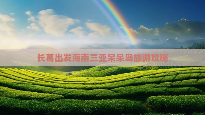 长葛出发三亚呆呆岛旅游