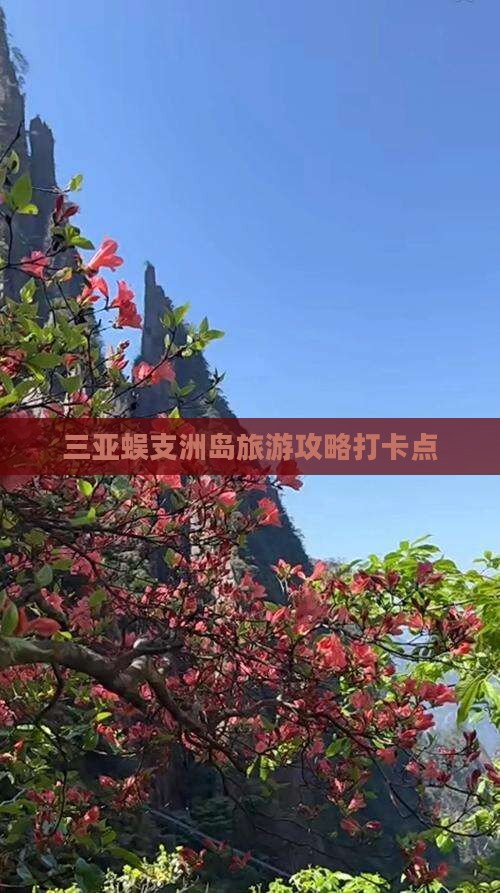 达州去三亚蜈支洲岛旅游打卡点