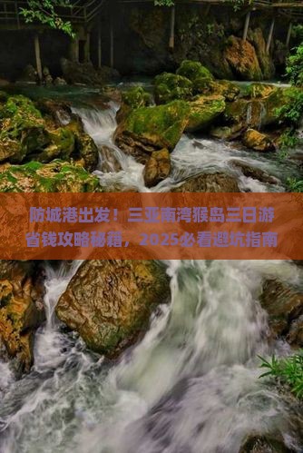 防城港前往三亚南湾猴岛三日游