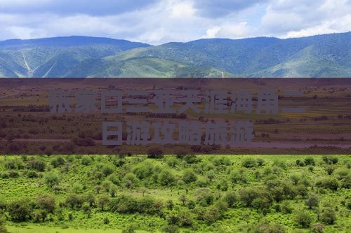 张家口出发三亚天涯海角二日游