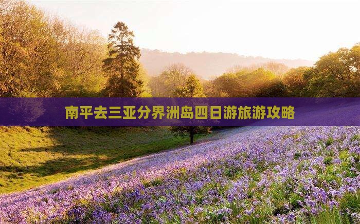南平去三亚分界洲岛四日游