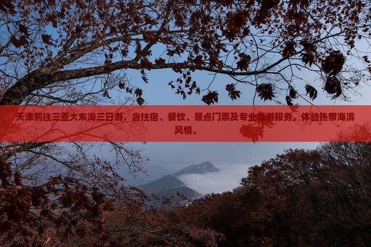 天津前往三亚大东海三日游