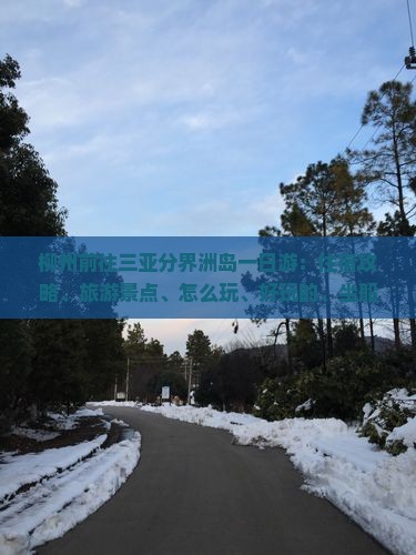 柳州前往三亚分界洲岛一日游