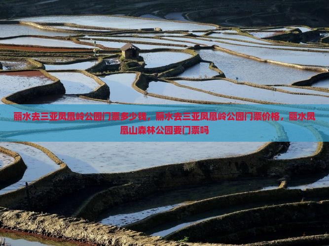 丽水去三亚凤凰岭公园门票