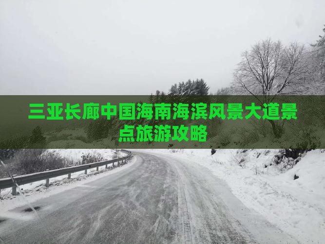 哈尔滨去三亚椰梦长廊必玩地
