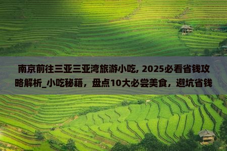 南京前往三亚三亚湾旅游小吃