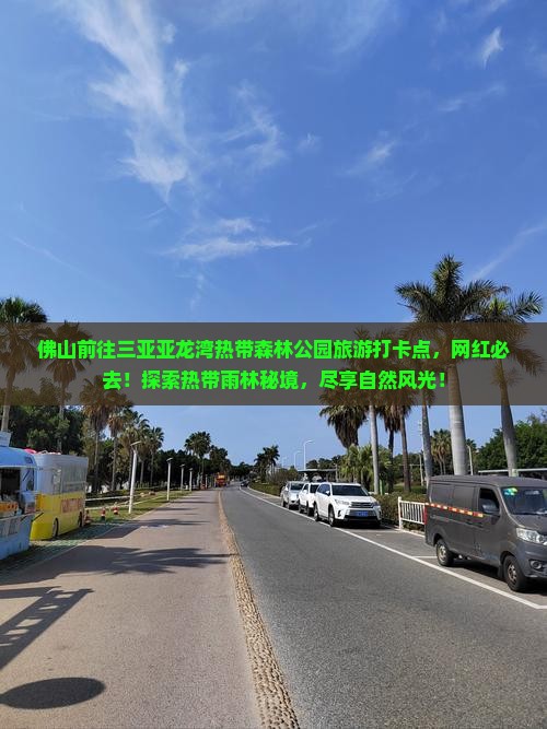 佛山前往三亚亚龙湾热带森林公园旅游打卡点