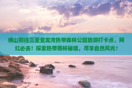 佛山前往三亚亚龙湾热带森林公园旅游打卡点