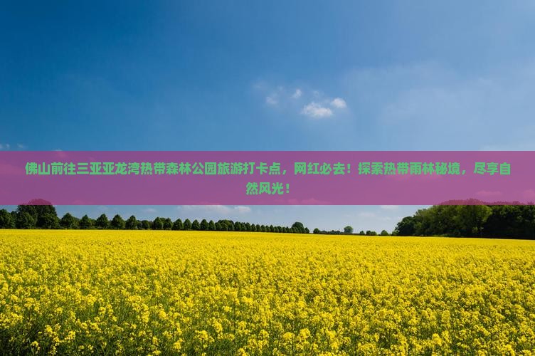 佛山前往三亚亚龙湾热带森林公园旅游打卡点