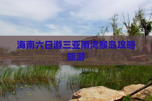 运城前往三亚南湾猴岛六日游
