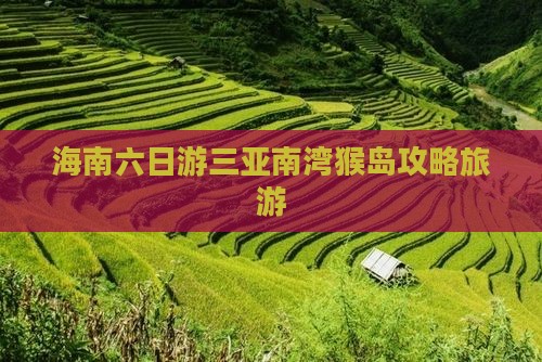 运城前往三亚南湾猴岛六日游