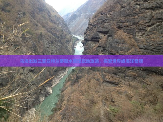 乌海出发三亚亚特兰蒂斯水族馆必玩地