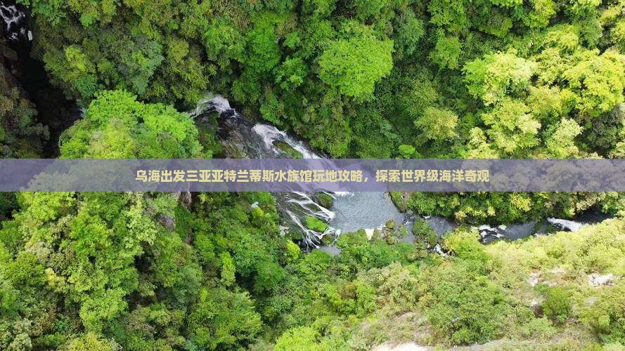 乌海出发三亚亚特兰蒂斯水族馆必玩地